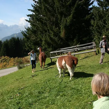 Panoramagasthof Kristberg Silbertal